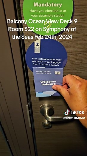 Tour of my Ocean View Balcony on Symphony of the Seas