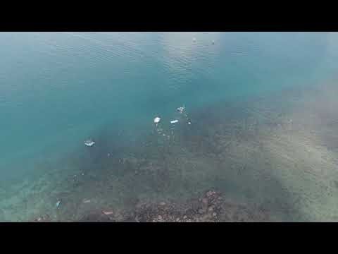 Relaxing Landscape Views in 4K