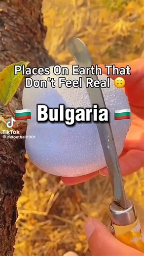 Welcome to Bulgaria / Добре дошли в България 🇧🇬🌍🥀 _ #bg #bulgaria #bulgarians #balkans #reels #easterneurope #nature #българи #българия #visitbulgaria #welcometobulgaria #bulgariatravel #macedonia #thrace #dobrogea #moesia | Ethnic Bulgaria