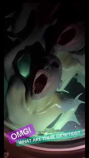 Exploring Mysterious Cryptids: Mermaids and Sirens