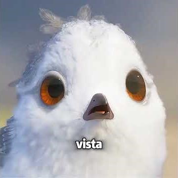 This little bird is learning to be independent.#movies #shorts #movie#foryou #edit #fypシ゚