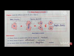 10th class science practical book part 2 Experimant 2