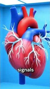 What If You Eat Ginger Every Day for 60 Days?