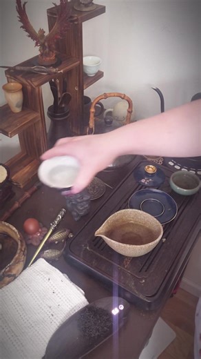 going over the process of gongfu #gongfu #chinesetea #teatime #tea #teatok