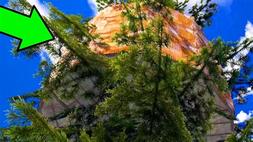 I Raided a Hidden Camouflaged Treehouse Base Design