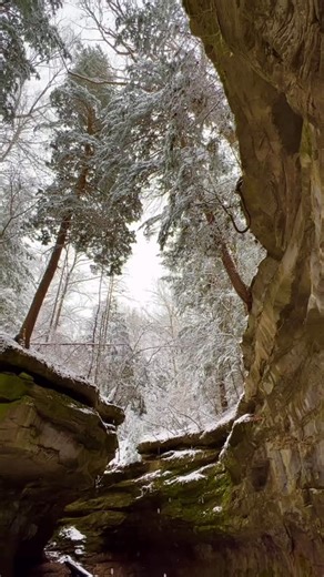 Ever wonder what Turkey Run State Park looks like in winter? 🏔❄️ Come explore deep sandstone ravines, walk along stands of aged forests, and enjoy the scenic views along Sugar Creek. ✨ Plan your visit at coveredbridges.com | Parke County Indiana