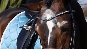 4.4K views · 86 reactions | Get those spring vibes from our horse and rider SS19 collection!  Thank you Nathalie Martinsson for the video and model Ginnie Palm | PS of Sweden | Facebook