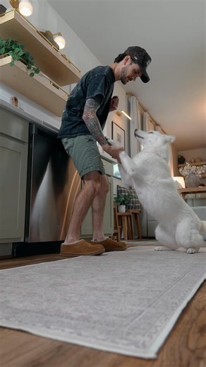 3.3K views · 3 comments | A kitchen is a crazy place to put a rug — unless it’s from Tumble.  @timberandhive Rug: Sophia — Ivory/Beige #washablerug #homedecor #madefortogether | Tumble | Facebook