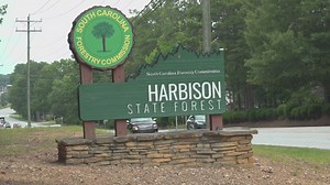 Harbison State Forest to reopen following aggressive dog attacks