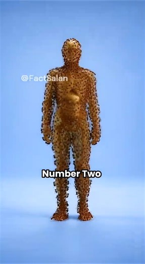 Top 5 Insects That Can Remove a Body Faster Than Predators #shorts