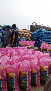 03002000490 03002000883 اوکاڑہ منڈی #agriculture #farmer #potatorate | Pakistani agriculture