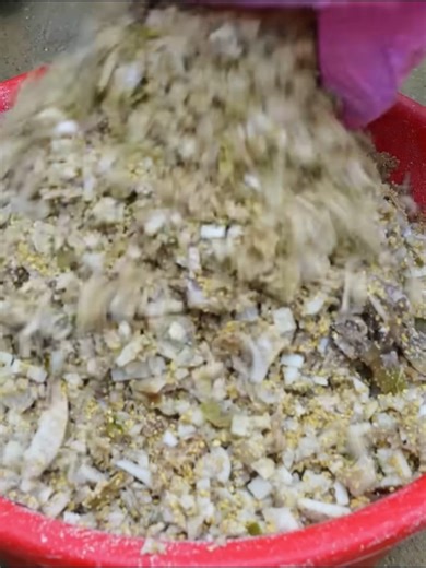 3M views · 34K reactions | Harvest Na fruit go to market sell #bushcraft #logcabin #concrete #cabin #buildgril #bamboo #building #outdoors #buildhouse #shelter #fypシ #farmlife #survival #farm #build #campter | Super Survival | Facebook