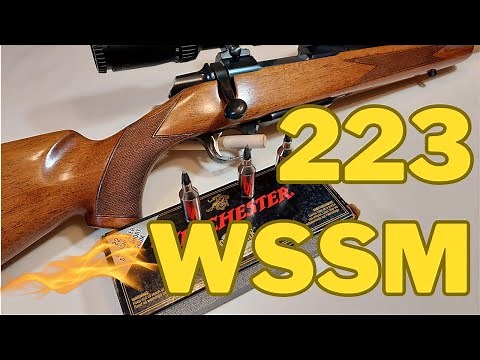 Video # 22 - 223 WSSM in a Browning A-Bolt