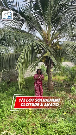 Lot clôturé à Akato à vendre — terrain entier ou 1/4 disponible