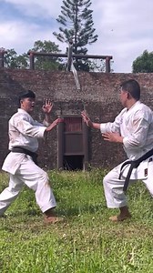 Wow beautiful karate’s moves | Loi Tran karate