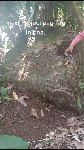 Big box cement #happy hunting