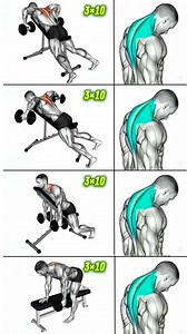 #fitness #reels #TrapezeTraining #ArmWorkout #StrengthTraining | Fit-workout body
