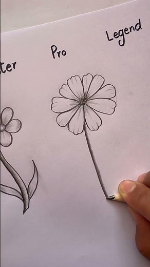 drawing of flower from beginner to legend