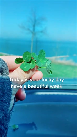 Finding a Four-Leaf Clover – A Lucky Day in Nature