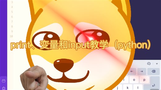 print、变量和input教学（python编程）