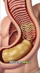 “What Happens When You Eat Cassava Daily? 😱 Surprising Health Benefits & Risks!”