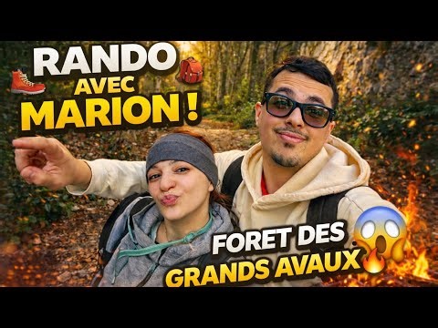 🌲 Rando dans la forêt des Grands Avaux avec Marion ! 🔥