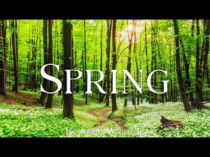 Spring Awakens in Stunning 4K | Colorful Nature Landscapes & Relaxing Piano Melodies