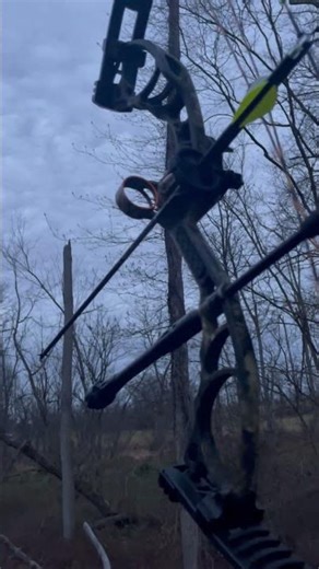 Post rut deeer hunt #automobile #deerhunting