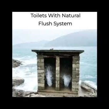 #shorts#telgelelesong#funnymemes#shikuu🤠