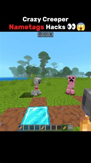 Minecraft Crazy Nametags hacks 😱 #minecraft