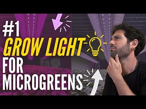 Best Grow Lights for Microgreens in 2026 (Tested & Ranked)