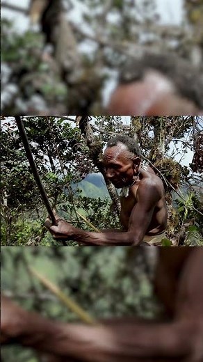 Chasser à l'arc en pleine jungle : une technique ancestrale incroyable
