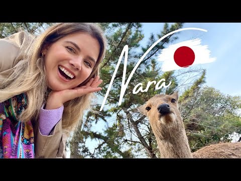 WHY NARA SHOULD BE ON YOUR JAPAN BUCKETLIST | Cute Deer, Amazing Temples + Traditional Japanese Food