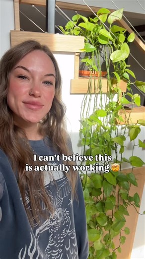 Kellyn Kennerly on Instagram: "Not me using this on all of my bald headed plants now 😂 This cloning paste is so easy to use, I really can’t believe it took my this long to give it a shot!"