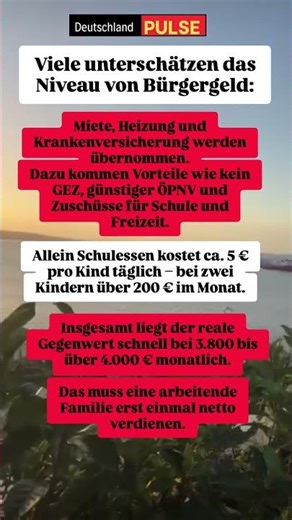 Ich zeige euch die Wahrheit über Bürgergeld #geldpolitik #deutschland #klimapolitik