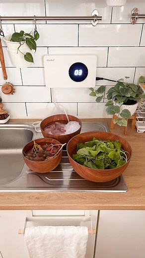 @kellyshirouchi on Instagram: "Alat untuk mensterilkan buah dan sayur dari pestisida dengan ozone purifier merek Diodel @flintbabyshop . Udah gitu bisa bersihin daging dan ikan dari hormon dan bahan kimia berbahaya. Review dan spek Diodel : ✅cuci buah dan sayur jadi mudah dan praktis tinggal masukkan selang aerostone lalu ON. ✅Lab-tested membunuh 99,9% bakteri E.coli, sarmonella, listeria. SERTIFIKASI hasil uji test lab, CE, FCC, RoHS ✅Menghilangkan hormon, karsinogen, kimia pengawet, antibiotik