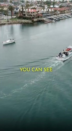 The Newport Beach Boat Culture Everyone Should Experience 🚤☀️