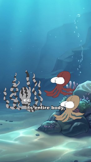 The Incredible Shapeshifting Mimic Octopus