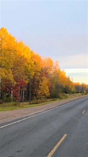 Good morning fall color lovers! After an amazing sunset last night, this mornings sunrise and the way it lights up our trees and campground is hard to beat. 🏕 CAMPGROUND IS OPEN THRU FALL 🍁 Still booking fall color UTV Waterfall Tour ⚡️⛽️ EV or ICE UTV Rentals Available all month ❄️ Booking winter 25-26 Snowmobile rentals Link in the comments! | Hamilton's North Coast Adventures