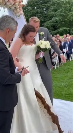 Bride's Dress Fails at Wedding: A Chaos Unfolds