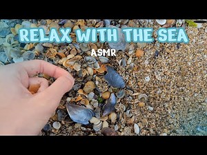 Ocean Waves & Shell Sounds for Deep Sleep (ASMR)🌊💤