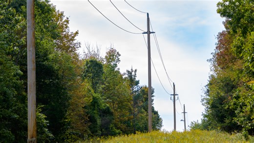 Stray Voltage Case Raises Legal and Insurance Questions for Dairy Producers