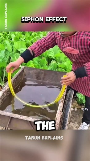 Siphon Effect Explained 💧 | How Water Flows Up Without a Pump