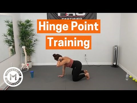 Hinge Point Training (Spine Segmentation)