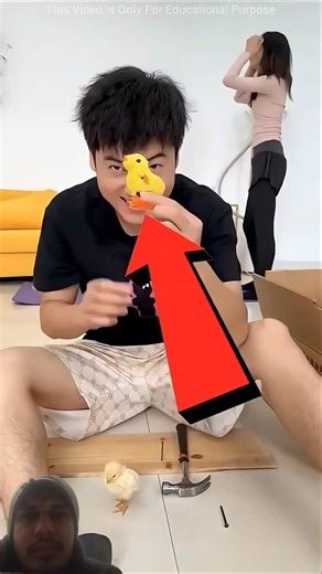 Fake Chick Prank😂😍#shorts​ #viral​ #shortsfeed​ #jurassicworld