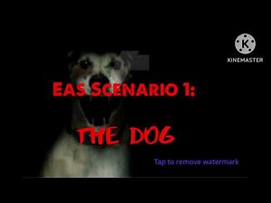 Eas Scenario 1: The Dog (Part 1)