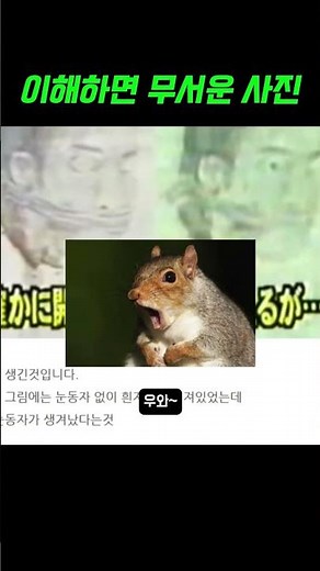 A Scary Photo Once You Understand It [Haunted Scroll]