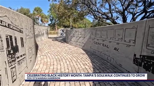 WATCH LIVE: FOX 13 is a live streaming show hosted and produced by Regina Gonzalez, delivering real-time breaking news, live events, and in-depth Tampa Bay coverage. | FOX 13 News - Tampa Bay