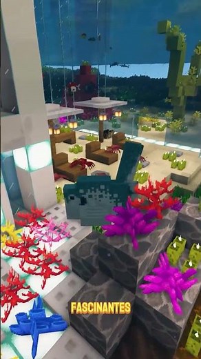 🐠 ZOO with EVERY OCEAN ANIMAL in MINECRAFT