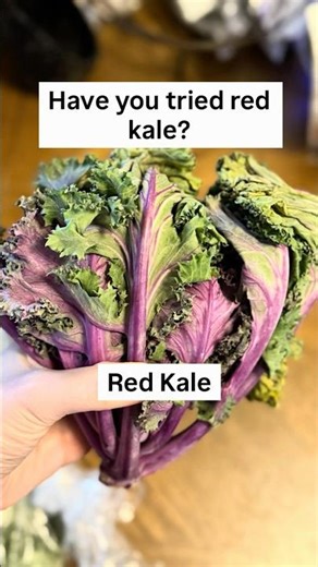 Have You Tried Red Kale? | Trying New Foods Series